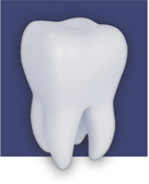 Dentallabor Eickels und Retz
